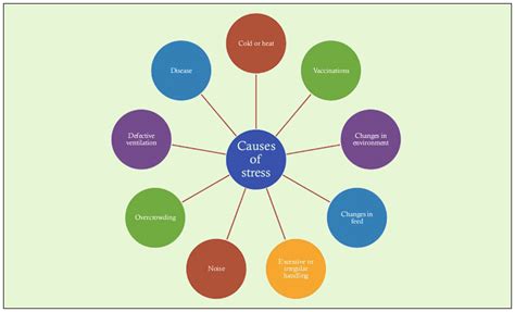 Causes of Stress - Types of Stress | Concepts of Stress | Byju's