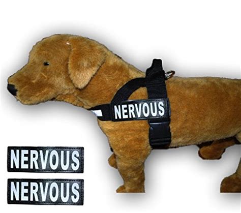 Compare Price: dog harness nervous - on StatementsLtd.com