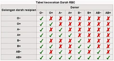 Efek Donor Darah dan Manfaat Donor Darah - Pasien Sehat