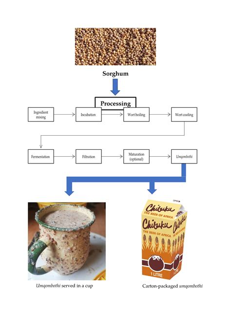Processes | Free Full-Text | Processing, Characteristics and Composition of Umqombothi (a South ...