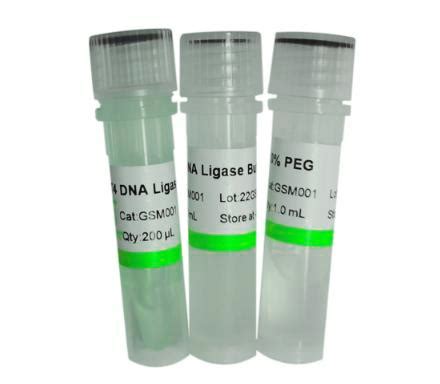 T4 DNA Ligase - AICON-BIO