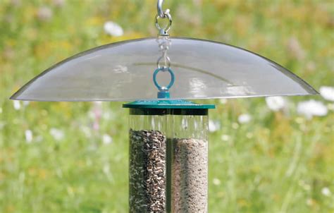 Garden & Outdoors Feeders berjayatvet.edu.my Squirrel Proof Baffle Wrap Around Squirrel Guard ...