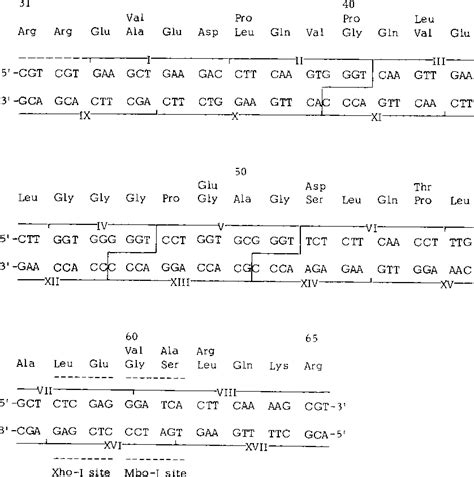 Figure 1 from Nucleic Acids Research Nucleic Acids Research | Semantic Scholar