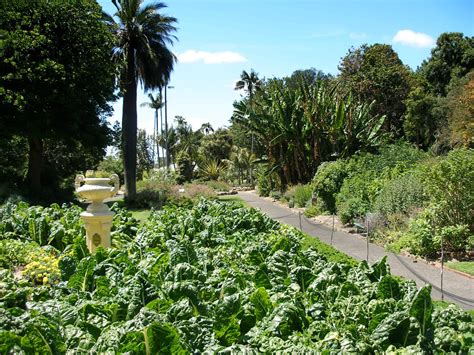 MAP: GEELONG BOTANIC GARDENS