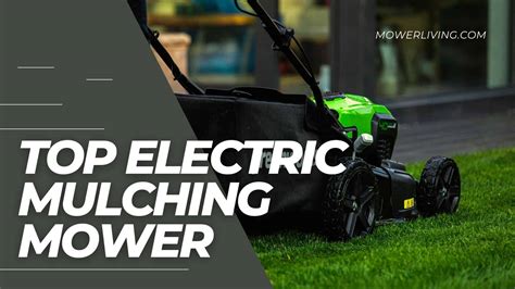 Best Electric Lawn Mower Mulching: Reviews, Specs, Prices