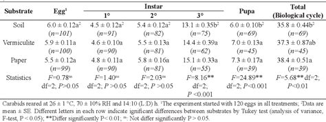 Table 1 from The life cycle of Neotropical ground beetle, Abaris ...