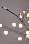 Pre-Lit LED Tree with Metal Base | AnthroLiving