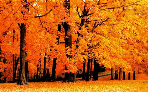 Tumblr Autumn Desktop Wallpapers - Top Free Tumblr Autumn Desktop Backgrounds - WallpaperAccess