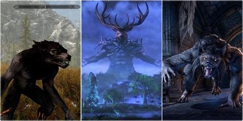 Skyrim: Everything You Need To Know About Werewolves In Tamriel | LaptrinhX