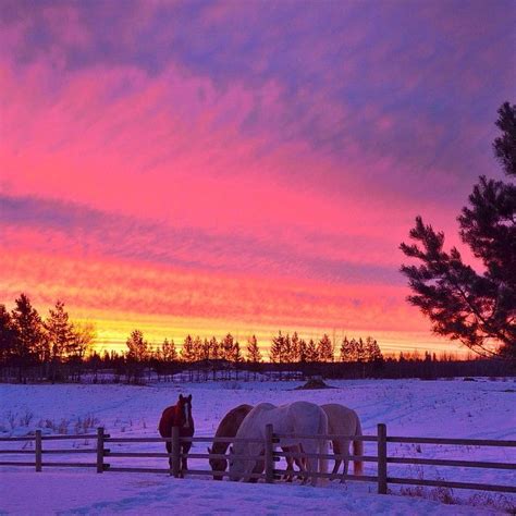 Beautiful Alberta sunrise. Near Tomahawk, Alberta (Canada). | Beautiful ...