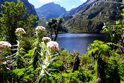 Rwenzori Mountains National Park, mountaineering experience in Uganda