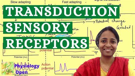 Sensory transduction | Sensory Physiology mbbs 1st year lectures | CNS Physiology - YouTube