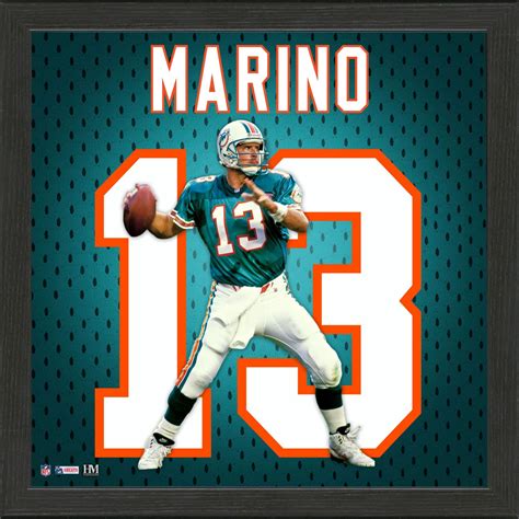 Dan Marino Miami Dolphins Jersey IMPACT Frame | Shop the Sun Sentinel ...