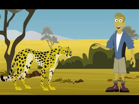 Wild Kratts - Go Cheetah Go - Cartoons Games - YouTube