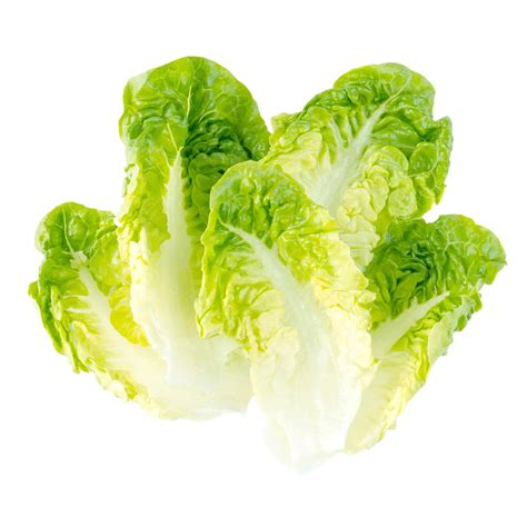 Little Gem Lettuce | The Mile Farm Shop