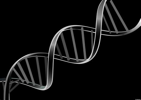 Origin Of Life In RNA? Study Suggests Genetic Molecules May Have Self-Assembled | HuffPost