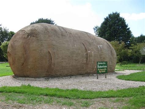 Big Potato – Robertson, Australia - Gastro Obscura