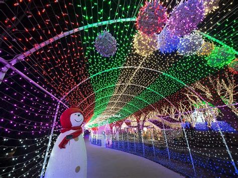 Suwannee Lights | Florida Travel + Life