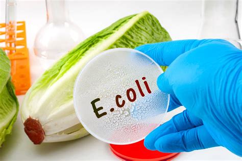 E-Coli Food Poisoning Cases | Nicolet Law Accident & Injury Lawyers