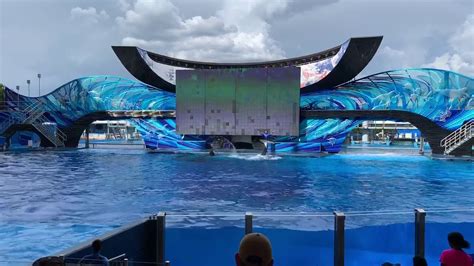 SeaWorld Full Orca Killer Whale Show - One Ocean - Orlando, Florida ...