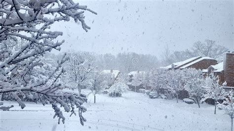 Heavy Snow Storm in New Jersey Stock Image - Image of road, tree: 114095437