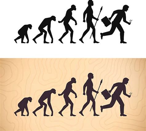 Royalty Free Human Evolution Clip Art, Vector Images & Illustrations ...