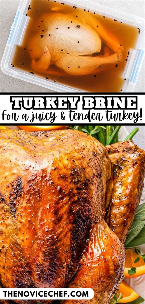 The Best Turkey Brine Recipe | The Novice Chef