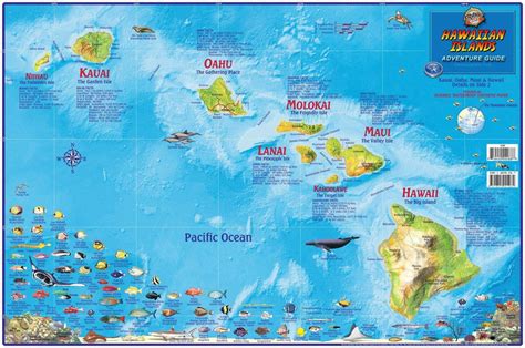 Hawaii Wall Map - Hawaiian Islands Laminated Poster – Franko Maps