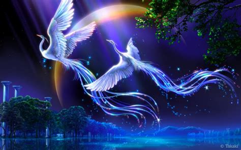 🔥 [140+] Birds Of Paradise Wallpapers | WallpaperSafari