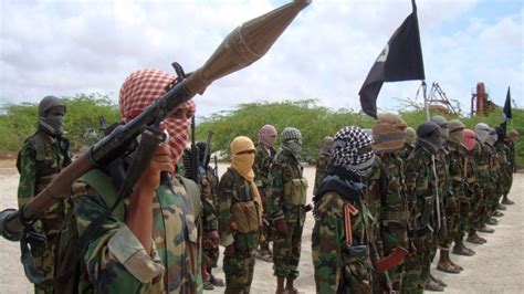 Despite own agendas, al-Shabaab and other militant groups connect in Africa | CTV News