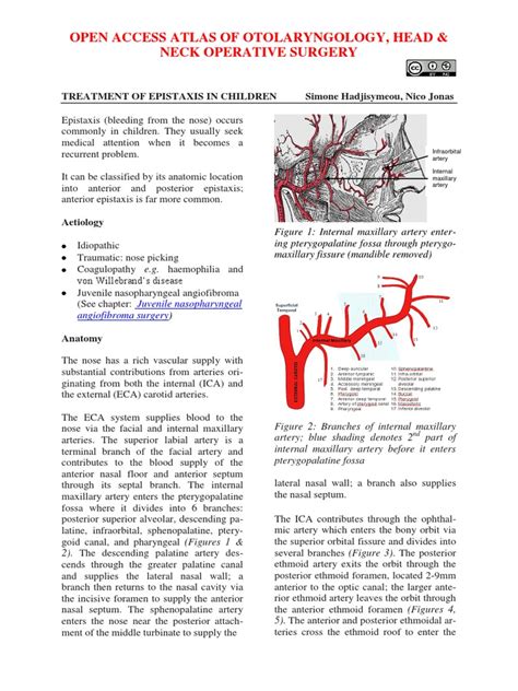 Treatment of epistaxis in children.pdf | Human Anatomy | Human Head And ...