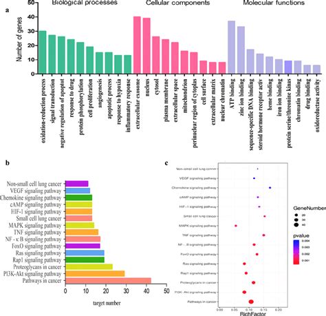GO and KEGG pathway enrichment analysis. (a) Histogram of GO enrichment ...