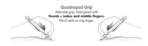 How To Properly Hold A Pencil / How To Properly Hold A Pencil Or Pen Learning Without Tears ...