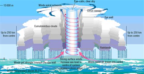 Tropical cyclone formation | Types of rainfall, Types of precipitation ...