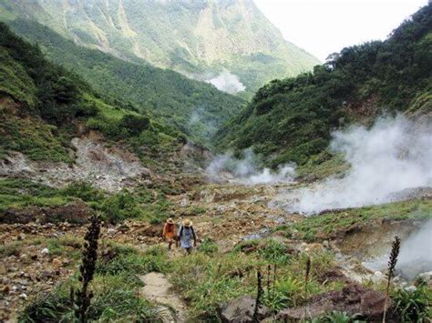 Top Hiking Trails on Dominica - Amazing Adventures Await - ALL AT SEA