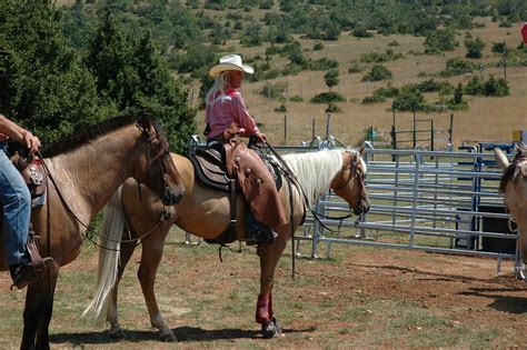 Horse, ranch, cowboy,free pictures, free photos - free image from needpix.com