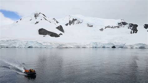 Whale-Watching in Antarctica | Travel + Leisure #TLMoment - YouTube