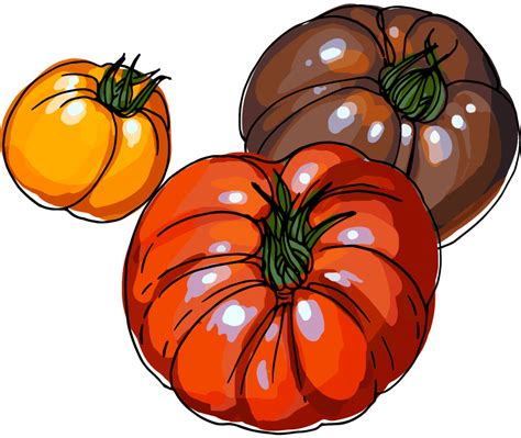 Heirloom Tomatoes | Ed Lester Farms