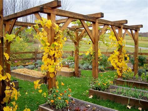 Found on Bing from www.pinterest.com | Grape trellis, Arbors trellis ...