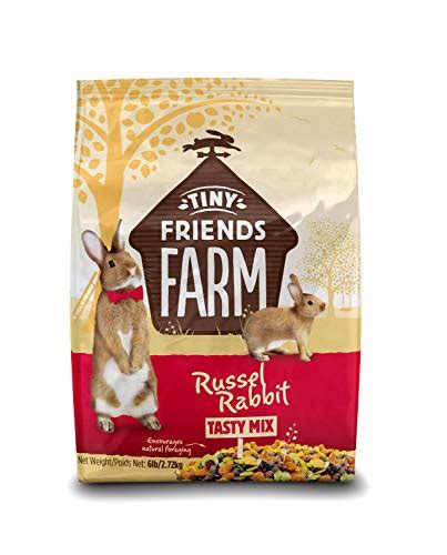 Rabbit Food - The Best Options To Keep Your Rabbit Healthy 2021