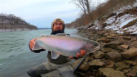 Catching Giant Lake Ontario STEELHEAD | Niagara River Fishing - YouTube