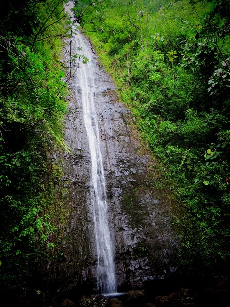 Oahu Hiking: Why You Will Love Manoa Falls - This Way To Paradise-Beaches, Islands, And Travel