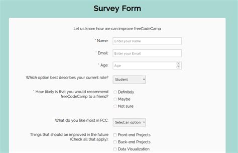 HTML CSS Projects: Survey Form · DevPractical