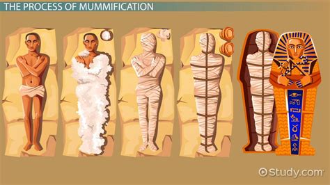 Mummification | Definition, Process & Purpose - Lesson | Study.com