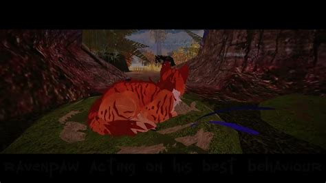 tigerclaw wants to rule the clans / POV: when fireheart reveals to truth to bluestar / wcue edit ...