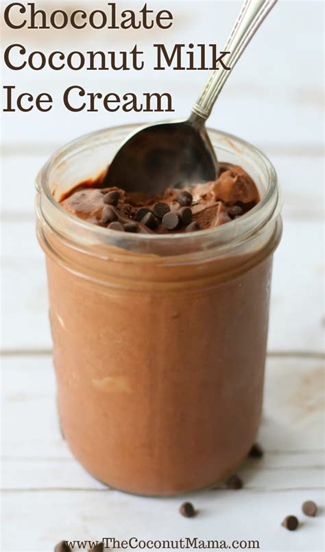 Chocolate Coconut Milk Ice Cream - The Coconut Mama