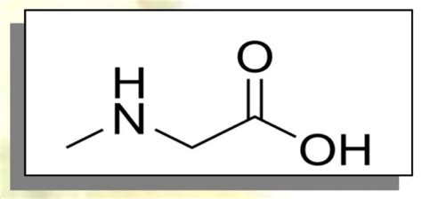 Sarcosine - McKinley Resources