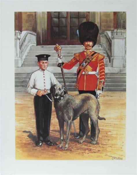 C.A. Collins Irish Guards Mascot - Frame UK