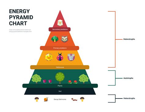 Pyramid Diagram Template