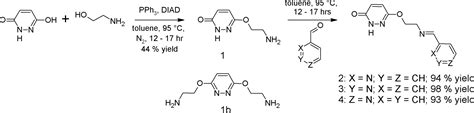 Pyridazinones from maleic hydrazide: a new substrate for the Mitsunobu reaction